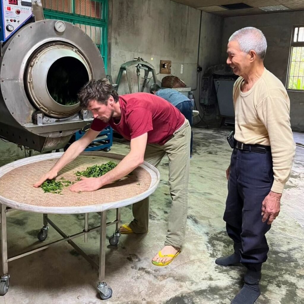 Séchage de thé Oolong à Taiwan